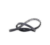 DAYCO 11A0793C V-Belt