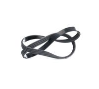 DAYCO 4PK845 Serpentine belt