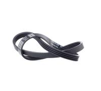 DAYCO 4PK890 Serpentine belt