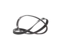 DAYCO 4PK926 Serpentine belt
