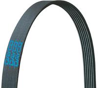 Dayco 5061075 Serpentine Belt, Drive Belt