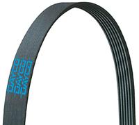 Dayco 5061075 Serpentine Belt, Drive Belt