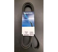 Dayco Serpentine Belt 5PK2030 – Poly Rib