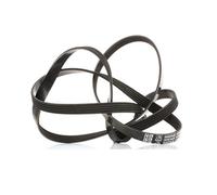 Dayco Serpentine Belt 5PK2030 – Poly Rib