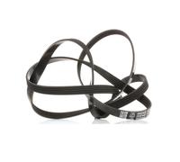 DAYCO 5PK2030 Serpentine belt
