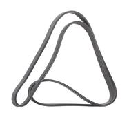 DAYCO 6DPK1853 Serpentine belt