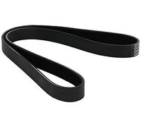 Dayco 6PK1013 Poly Rib Belt