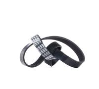 DAYCO 6PK1053 Serpentine belt