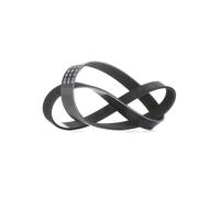DAYCO 6PK1087 Serpentine belt