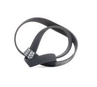 DAYCO 6PK1125 Serpentine belt