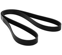 Dayco 6PK1437 Poly Rib Belt