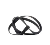 DAYCO 6PK1873 Serpentine belt