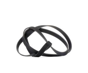 DAYCO 6PK1873 Serpentine belt