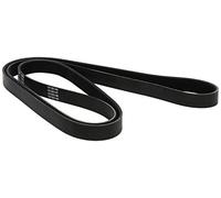 Dayco 6PK1885 Poly Rib Belt
