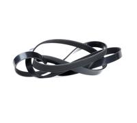 Dayco 6PK2240 Poly Rib Belt
