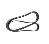 Multi-ribbed V-belt 6PK2300 DAYCO for JAGUAR SAAB