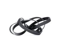 DAYCO 6PK2460 Serpentine belt