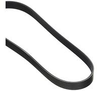 Dayco 6PK800 Poly Rib Belt