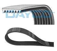 DAYCO 7PK1165S Serpentine belt