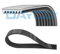 DAYCO 7PK1270S V-Ribbed Belt for AUDI,VW
