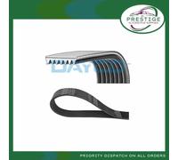 DAYCO 7PK2842 Serpentine belt