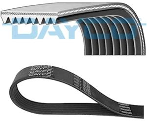 DAYCO 8PK1875HD Serpentine belt 1875,0mm, 8 - D092064 / 3289569 / 51968200324