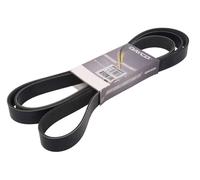 DAYCO DAY8PK2580HD V-Ribbed Belt OE REPLACEMENT