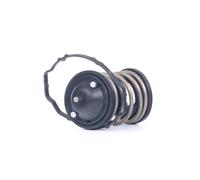 DAYCO DT1142V Thermostat