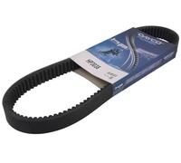 DAYCO HP3038 Timing Belt