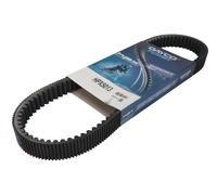 DAYCO HPX5013 Timing Belt
