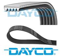 DAYCO V-RIBBED BELT 5 RIBS 2030MM AUXILIARY FAN DRIVE ALTERNATOR BELT 5PK2030