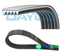 DAYCO V-RIBBED BELT 5PK1236EE FOR HYUNDAI