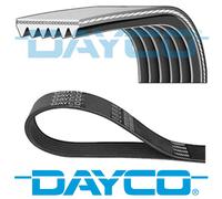 DAYCO V-RIBBED BELT 6 RIBS 1685MM AUXILIARY FAN DRIVE ALTERNATOR BELT 6PK1685