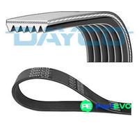 DAYCO V-RIBBED BELT 6PK848EEPM FOR CITROËN PEUGEOT DS