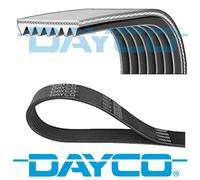 DAYCO V-RIBBED BELT 7 RIBS 2682MM AUXILIARY FAN DRIVE ALTERNATOR BELT 7PK2682
