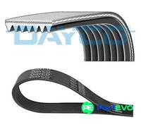 DAYCO V-RIBBED BELT 7PK1095 FOR TOYOTA