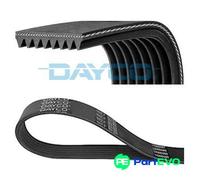 DAYCO V-RIBBED BELT 8PK1875HD