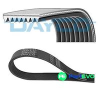 DAYCO V-RIBBED BELT 8PK2338 FOR MERCEDES-BENZ