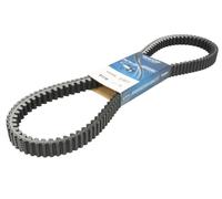 DAYCO XTX1006 CVT Drive Belt