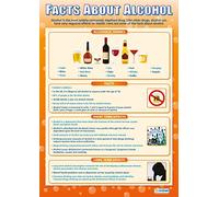 Daydream Education Alcohol | PSHE Posters | Laminated Gloss Paper measuring 850mm x 594mm (A1) | PSE Classroom Posters | Education Charts