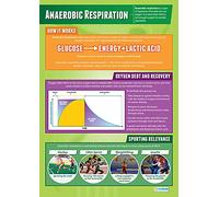 Daydream Education Anaerobic Respiration | PE Posters | Gloss Paper measuring 850mm x 594mm (A1) | Physical Education Charts for the Classroom | Education Charts