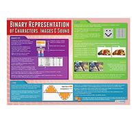 Daydream Education Binary Representation of Characters, Images and Sound | Computer Science Posters | Gloss Paper measuring 850mm x 594mm (A1) | STEM Posters for the Classroom | Education Charts