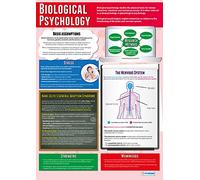 Daydream Education Biological Psychology | Psychology Posters | Gloss Paper measuring 850mm x 594mm (A1) | Psychology Charts for the Classroom | Education Charts