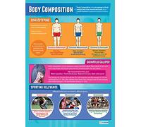 Daydream Education Body Composition | PE Posters | Gloss Paper measuring 850mm x 594mm (A1) | Physical Education Charts for the Classroom | Education Charts