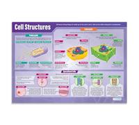 Daydream Education Cell Structures Classroom Poster - EXTRA LARGE - A1 (850mm x 594mm) - Gloss Paper - Science Secondary School Wall Charts
