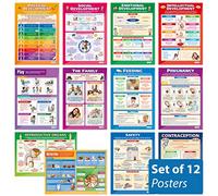 Child Development Posters - Set of 12 | Child Development Posters | Gloss Paper measuring 850mm x 594mm (A1) | Child Care Class Posters | Education Charts by Daydream Education
