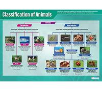 Daydream Education Classification of Animals Science Poster, Gloss Paper Extra Large A1 (594 mm x 850 mm) - Science Wall Chart for Classroom & Home