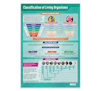 Daydream Education Classification of Living Organisms | Science Posters | Laminated Gloss Paper measuring 850mm x 594mm (A1) | Science Charts for the Classroom | Education Charts