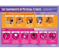 Daydream Education Components of Physical Fitness | PE Posters | Gloss Paper measuring 850mm x 594mm (A1) | Physical Education Charts for the Classroom | Education Charts
