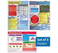 Daydream Education Crime Posters - Set of 3 | Sociology Posters | Gloss Paper measuring 850mm x 594mm (A1) | Sociology Class Posters | Education Charts